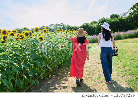 Sunflower field and women Sunflower field and women 123787259