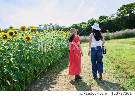 Sunflower field and women Sunflower field and women 123787261