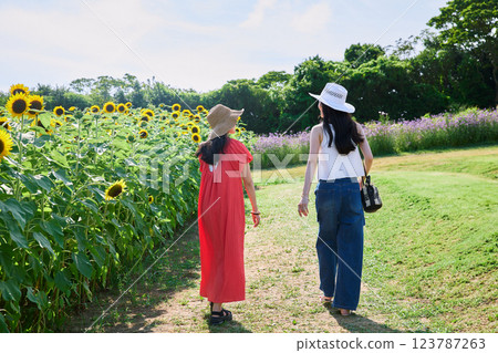 向日葵領域和婦女 向日葵領域和婦女 123787263