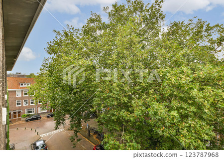 Vibrant green trees frame an urban street scene, showcasing nature's beauty amidst city living. The blend of architecture and greenery offers a refreshing view. 123787968