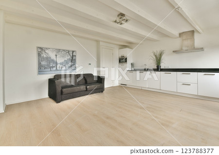 A spacious, bright kitchen connected to a minimalist living area featuring a dark sofa. The clean design emphasizes simplicity and functionality. 123788377