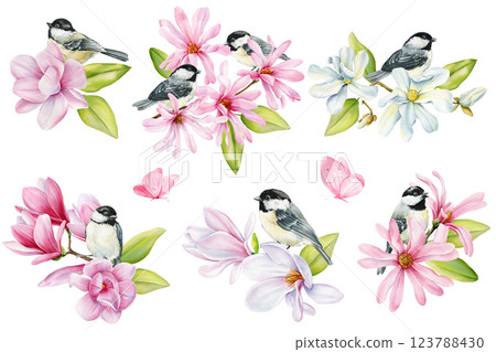 Spring birds and pink magnolia flowers illustration, hand painted nature design Watercolor floral cute songbird isolated 123788430