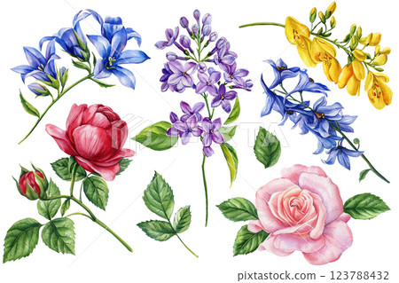 Watercolor Floral Bouquet. Hand Painted Wildflowers, Roses, Lilacs, and Botanical Blooms Elegant Design and Decoration Watercolor Floral Bouquet. Hand Painted Wildflowers, Roses, Lilacs, and Botanical Blooms Elegant Design and Decoration 123788432