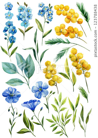 Blue and yellow flowers. Watercolor forget me not flowers, flax flower, mimosa, leaves. Hand painted blossom isolated 123788438