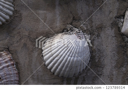 Scallop shell concrete wall 3 Scallop shell concrete wall 3 123789314