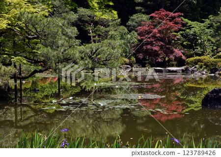 有池塘的風景:平安神宮 有池塘的風景:平安神宮 123789426