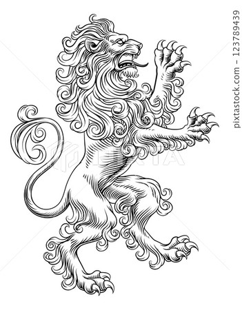 Heraldic Coat of Arms Crest Rearing Heraldry Lion 123789439
