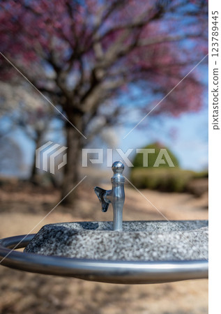 大室公園飲水處迎來春天 大室公園飲水處迎來春天 123789445