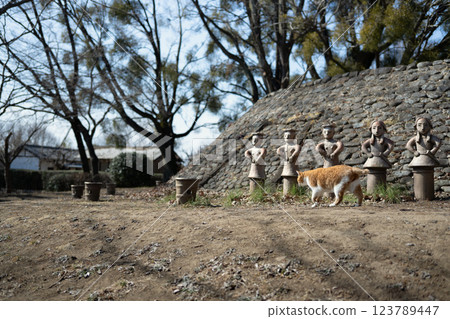 A cat passing in front of a haniwa as if it were its usual walking route. A cat passing in front of a haniwa as if it were its usual walking route. 123789447
