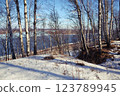 Hilly river bank covered with trees, snowy landscape 123789945