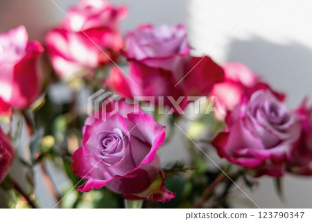 Romantic bouquet of beautiful fresh roses Romantic bouquet of beautiful fresh roses 123790347