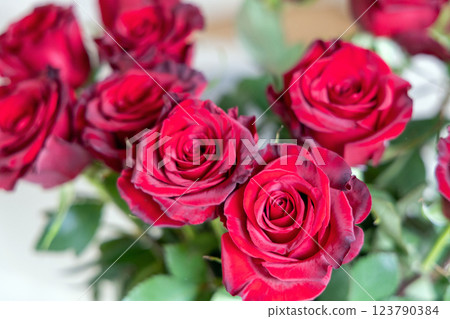Romantic bouquet of beautiful fresh roses 123790384