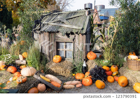 Old wooden house with broken glass in the window. Halloween concept Old wooden house with broken glass in the window. Halloween concept 123790391