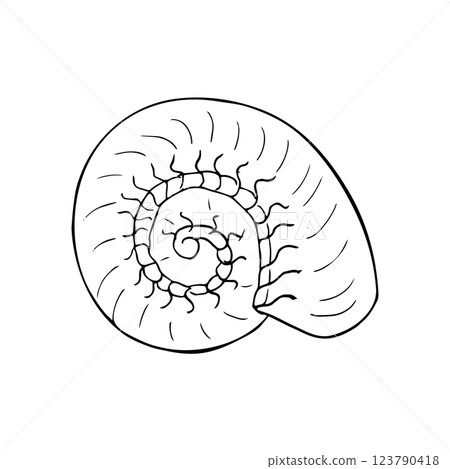 Sea shell in spiral shape. hand drawn conch illustration isolated on white background. marine life element in sketch style, isolated on white 123790418