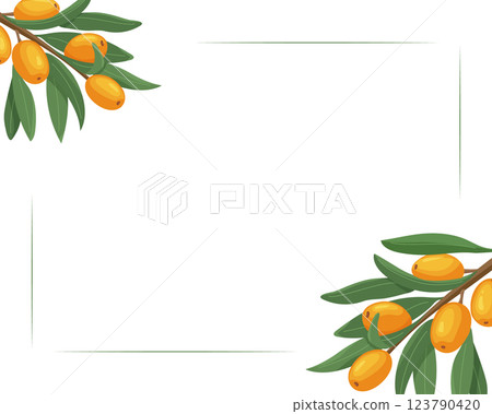 Sea buckthorn banner, with branches, berries, and leaves. Fruit decorative background. Vector template for design. 123790420