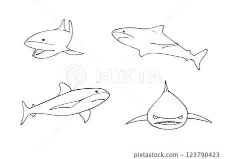 Set of hand drawn shark in different positions. Doodle style outline illustration. Set of hand drawn shark in different positions. Doodle style outline illustration. 123790423