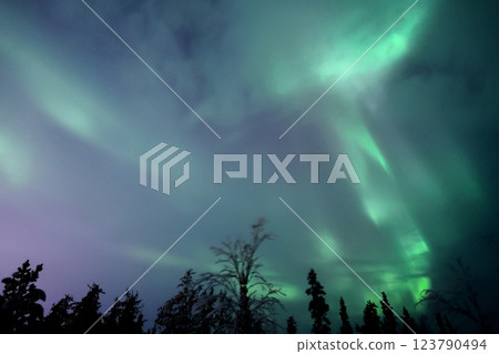 極光的看法 極光的看法 123790494