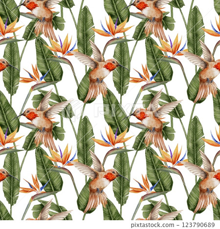 Hummingbird, strelitzia, and tropical leaves palm seamless pattern hand drawn on white. Watercolor illustration for textile, fabric, wallpaper, card, packaging, party. Hummingbird, strelitzia, and tropical leaves palm seamless pattern hand drawn on white. Watercolor illustration for textile, fabric, wallpaper, card, packaging, party. 123790689