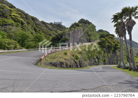 Looking up at the summit station of the Nokogiriyama Ropeway from the middle of the Nokogiriyama Tozan Expressway in Kyonan Town, Chiba Prefecture, during Golden Week, when fresh greenery is in bloom 123790764