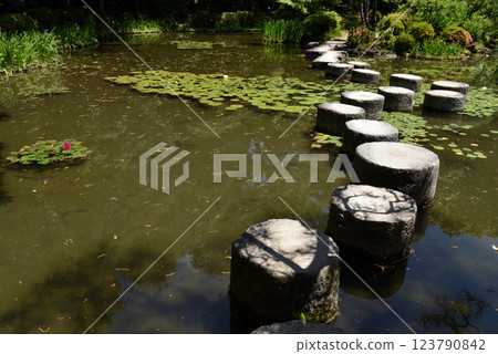 京都平安神社Wolly Bridge 123790842