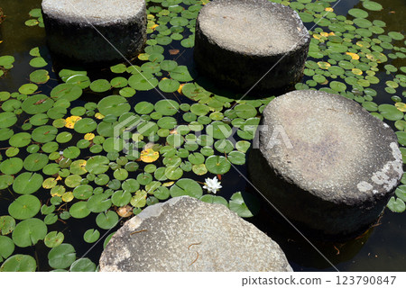Kyoto Heian Shrine Wolly Bridge Kyoto Heian Shrine Wolly Bridge 123790847