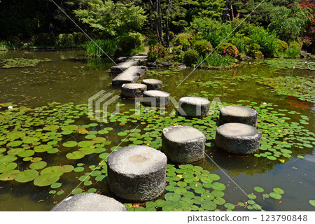 Kyoto Heian Shrine Wolly Bridge Kyoto Heian Shrine Wolly Bridge 123790848