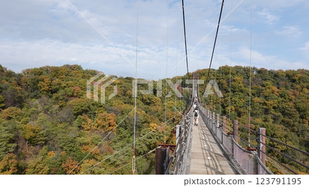 大阪山上的吊橋 大阪山上的吊橋 123791195