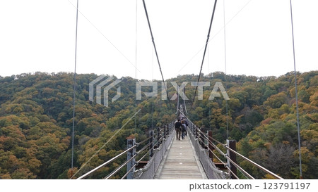 大阪山上的吊橋 大阪山上的吊橋 123791197