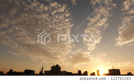 城市日落 123791203
