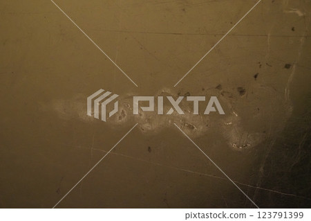 歷史建築大理石地板中的化石 123791399