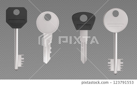 Realistic key collection on transparent background 123791553