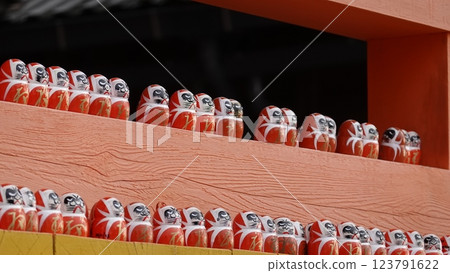 Autumn leaves and Dharma 123791622