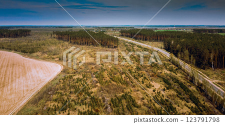 Aerial View Green Pine Forest Deforestation Area Landscape, Agri Aerial View Green Pine Forest Deforestation Area Landscape, Agri 123791798
