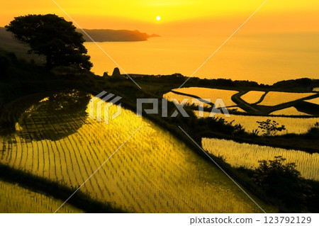 [Yamaguchi Prefecture] Togo Hata terraced sunset 123792129