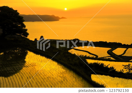 [Yamaguchi Prefecture] Togo Hata terraced sunset 123792130