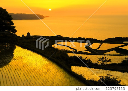 [山口縣]多哥Hat多梯田日落 123792133