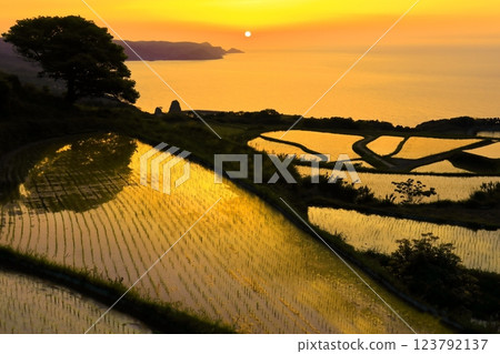 [Yamaguchi Prefecture] Togo Hata terraced sunset 123792137