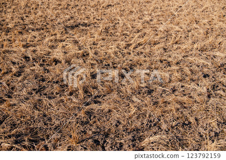 未耕作的農田 123792159