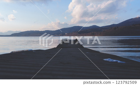 美麗的天鵝和山中湖的風景 123792509