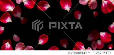 Overlay petals pink red flower frame design background floral romantic decoration love wedding. floral overlay Overlay petals pink red flower frame design background floral romantic decoration love wedding. floral overlay 123793187