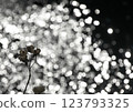 Spring light sparkling on the water surface Spring light sparkling on the water surface 123793325
