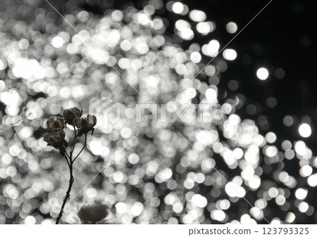 Spring light sparkling on the water surface 123793325