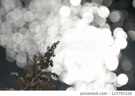 Spring light sparkling on the water surface Spring light sparkling on the water surface 123793326