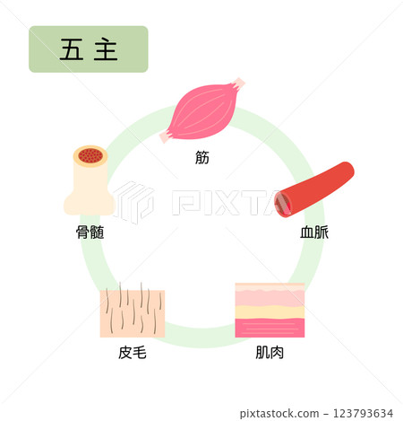 東方醫學：自然界五大元素的分類：五君 123793634