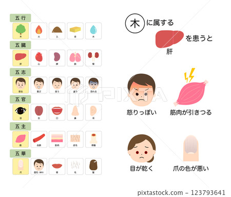 東方醫學:五臟的功能、如何看待疾病 東方醫學:五臟的功能、如何看待疾病 123793641