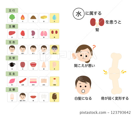 東方醫學：五臟的功能、如何看待疾病 123793642