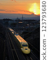 Shinkansen Doctor Yellow and Diamond Fuji Shinkansen Doctor Yellow and Diamond Fuji 123793680