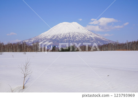 從宮田瞭望台停車場看到的冬季羊蹄山(2025 年 3 月) 從宮田瞭望台停車場看到的冬季羊蹄山(2025 年 3 月) 123793969