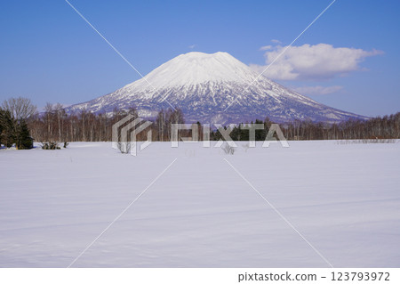 從宮田瞭望台停車場看到的冬季羊蹄山（2025 年 3 月） 123793972