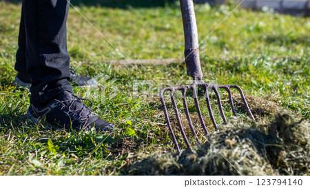 A person is currently raking the grass using a rake tool A person is currently raking the grass using a rake tool 123794140